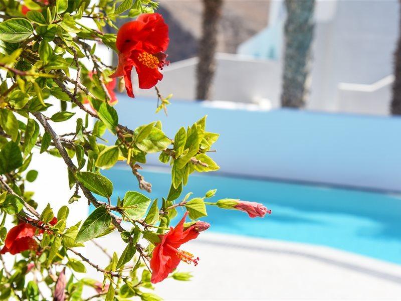 Kouros Village Hotel - Adults Only Perissa  Eksteriør billede